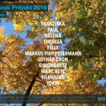 Baumhaus Projekt 2016